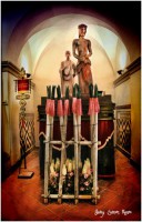 /album/fotogaleria-girona/josep-tets-de-flors-girona-2016-140-640x480-jpg/